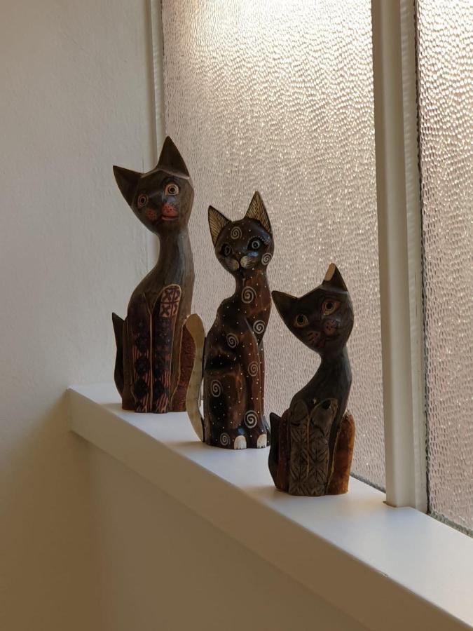 Martalagattahome サン・フェリーチェ・デル・ベナーコ エクステリア 写真